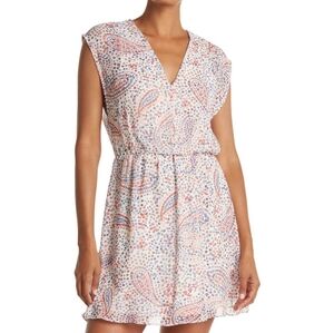 Paisley V - Neck dress